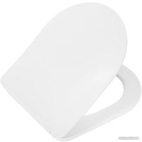 Унитаз подвесной Cezares Comfort CZR-191-TH/CZR-2316-SC в Борисове