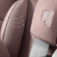 Детское автокресло Britax Romer Dualfix Pro M Style (dusty rose)