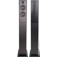 Напольная акустика Blue Aura x40 (черный)