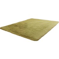 Ковер для жилой комнаты Mio Tesoro C0010086C 0.8x1.6