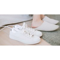 Сушилка для обуви Sothing Zero-Shoes Dryer DSHJ-S-1904 (с переходником на евровилку, белый)