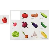 Сортер Десятое королевство Фрукты, ягоды, овощи, грибы 04718
