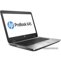 Ноутбук HP ProBook 645 G3 [Z2W18EA]