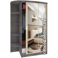 Шкаф-купе Кортекс-мебель Лагуна ШК04-02 левая консоль (береза/дуб сонома)