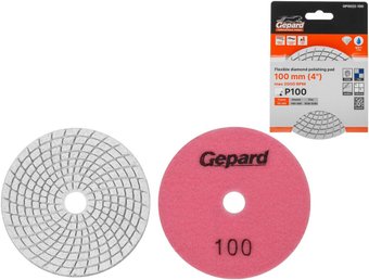 Шлифовальный круг Gepard GP5022-100