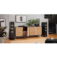Напольная акустика Polk Audio Signature Elite ES60 (черный)