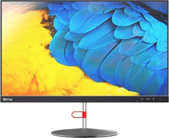 Lenovo ThinkVision X24-20 61BDGAT3EU