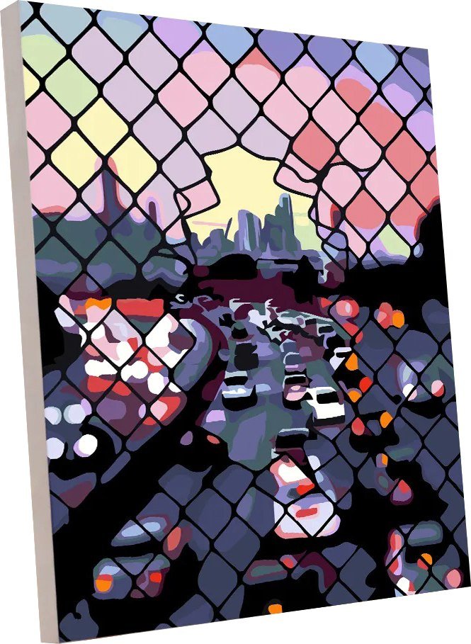 

Картина по номерам PaintLine Вечерний город PL-00383