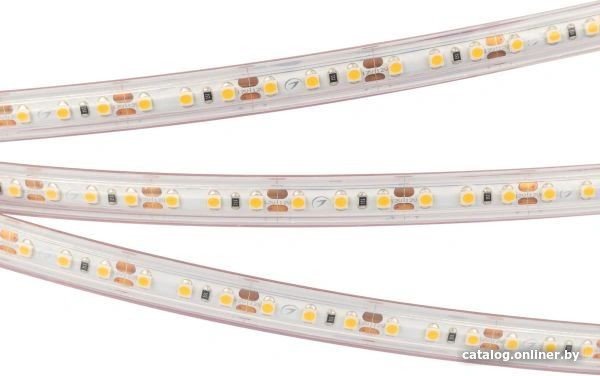 Светодиодная лента Arlight RTW-PS-A120-10mm 12V White6000 022318(2)
