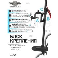 Лодочный мотор Haswing Osapian W-20 в Мозыре
