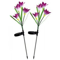 Садовый светильник-фигура Чудесный Сад Ирисы фиолетовые 695 (2 шт)