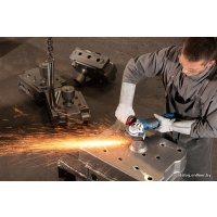 Угловая шлифмашина Bosch GWS 17-125 CIE [060179H002]