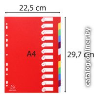 Разделитель документов Exacompta 4912E (ассорти)