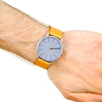 Наручные часы Skagen SKW6373