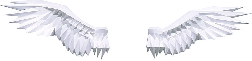 

PaperCraft PAPERRAZ Крылья