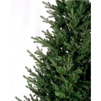 Ель GreenTerra Элоди 2.1 м