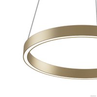 Подвесная люстра Maytoni Rim MOD058PL-L22BSK