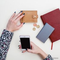 Зажим для денег EZcase Standart (песочный)