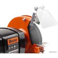 Заточный станок Wester TSL350B