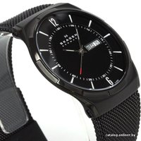 Наручные часы Skagen SKW6006