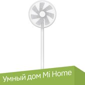 Standing Fan 2S ZLBPLDS03ZM (международная версия)