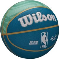 Баскетбольный мяч Wilson NBA Team City Collector Charlotte Hornets WZ4024104XB7 (7 размер) в Бресте