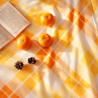 Плед Casa Conforte London 130x170 6155162 (желтый/оранжевый)