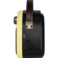 Радиоприемник Ritmix RPR-040 (лимонный)