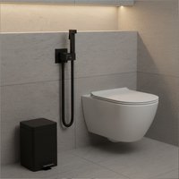 Гигиенический душ Lauter Rainix 21LT7712BM