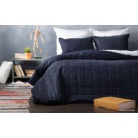 Покрывало Pasionaria Софт 160x220 с наволочками (синий)