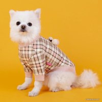 Свитер для животных Pinkaholic Aline NAUD-TS7640-IP-L (розовый в клетку)