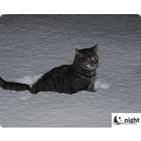 IP-камера SJCAM S1 (черный)