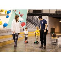 Трехколесный самокат Shulz ANT Mini (зеленый)