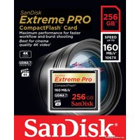 Карта памяти SanDisk Extreme Pro CompactFlash 256GB [SDCFXPS-256G-X46]