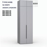 Шкаф распашной Кастанье Модерн Ш 1000.3 (серый шифер)