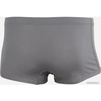 Трусы SPLAV Motion (1120490 серый 54)