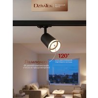 Трековый светильник DzivaTek 61136