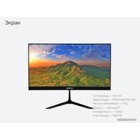 Монитор Бештау M24FHD/TFT