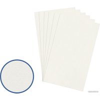 Картон для рисования Vista-Artista грунтованный PKR-3050 30х50 см