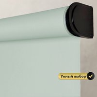 Рулонная электроштора НеоФьюжен Эден 200 220х200 правая (снежная мята, черная фурнитура)