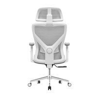 Офисное кресло Evolution ErgoLine 2 (серый)