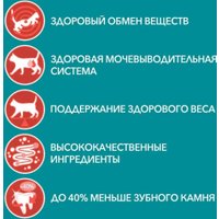 Пресервы Purina One с курицей для стерилизованных 26х75 г в Бресте