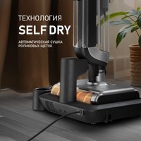 Вертикальный моющий пылесос Weissgauff V22 BLDC 250 Graphite DoubleSide AquaPro SelfDry
