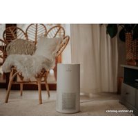 Очиститель воздуха Haus & Luft HL-OP-11/WiFi