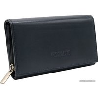 Портмоне Cedar 4U Cavaldi RD-21-GCL (черный)