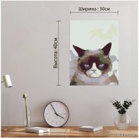 Картина по номерам Red Panda Недовольный Кот p54418
