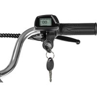 Электровелосипед MyWay Truck 1.0 350 20 (15, черный)