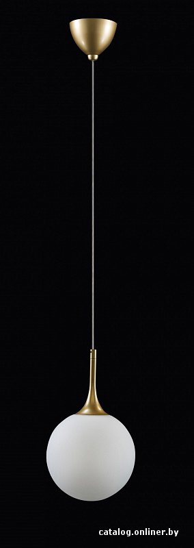 Светильник Lightstar 813022