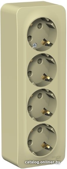Розетка Schneider Electric BLNRA011417