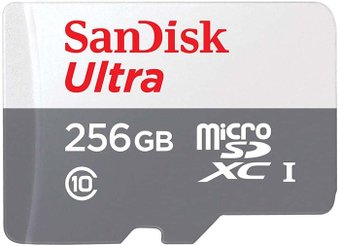 Карта памяти SanDisk microSDXC SDSQUNR-256G-GN6MNN 256GB